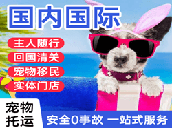 运城机场快运国际宠物托运 【国